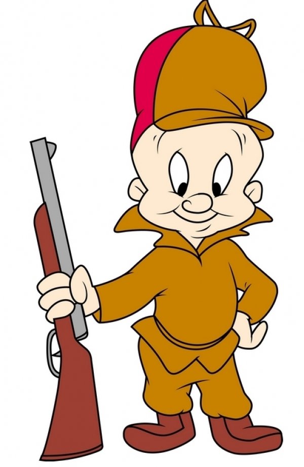 1293elmer_fudd.jpg