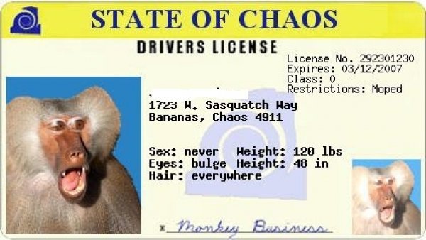 2032license_genas.jpg