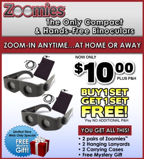 206zoomies-offer_sm1ph.jpg