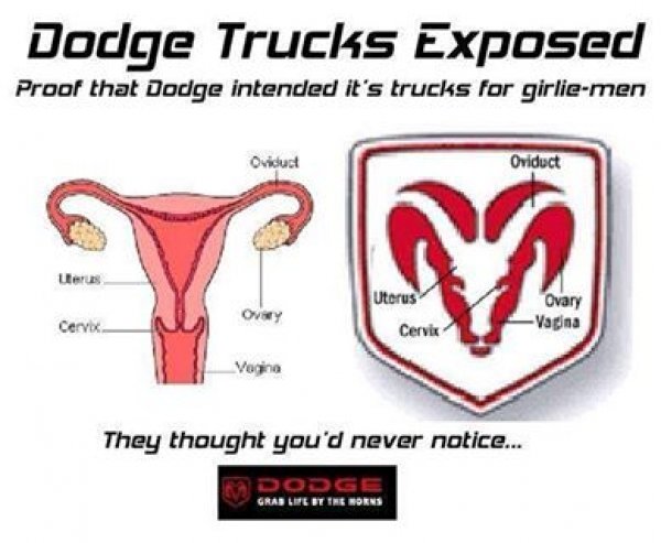 2369dodgeuterus.jpg