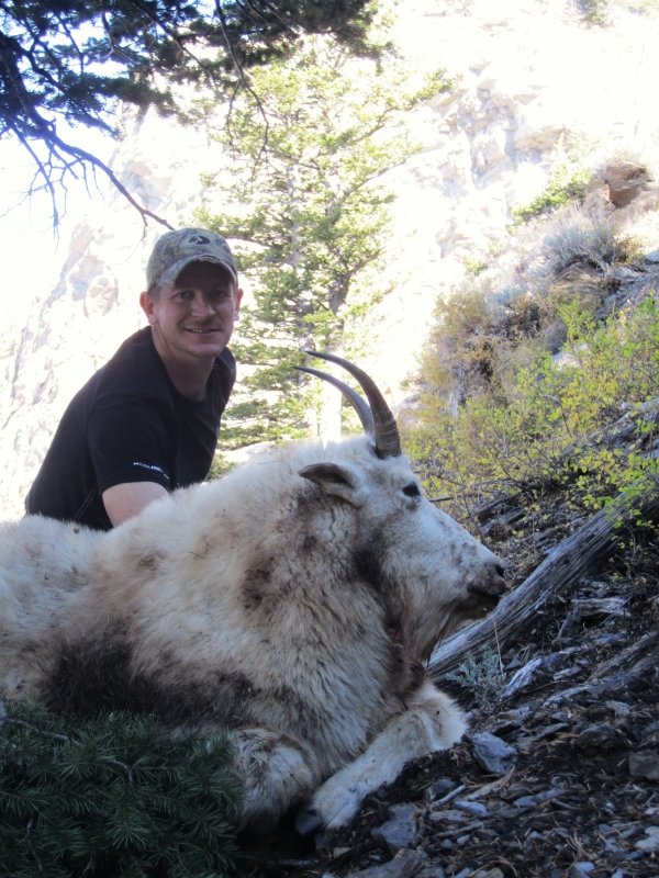 26382012_mtn_goat_hunt_026.jpg