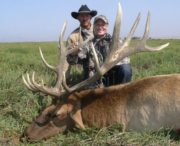 2717walt_palmer_tule_elk.jpg