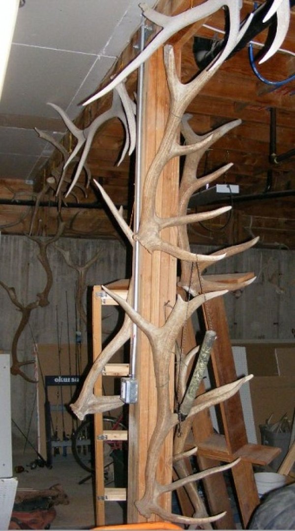 2735garage_antlers.jpg