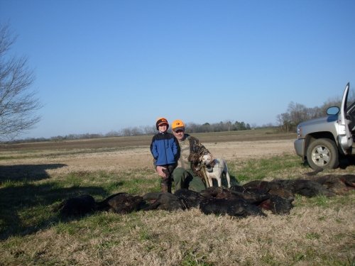 2816hog_hunting_10_085.jpg