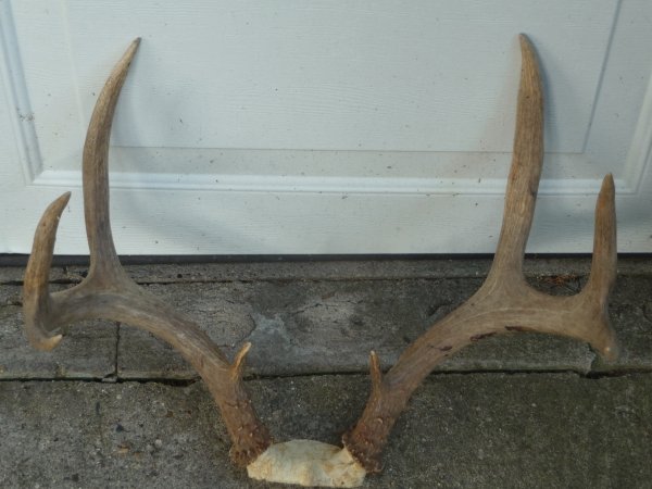 281mulie_racks_008.jpg