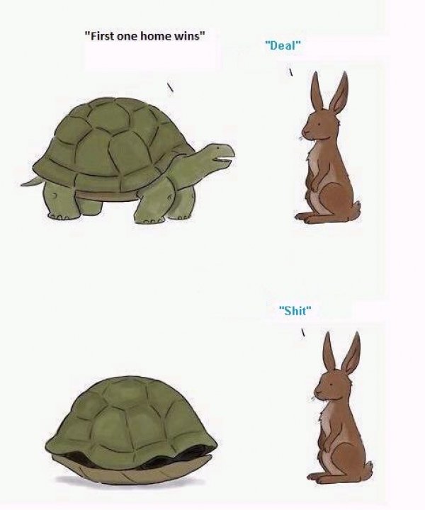 2857turtlerabbit.jpg