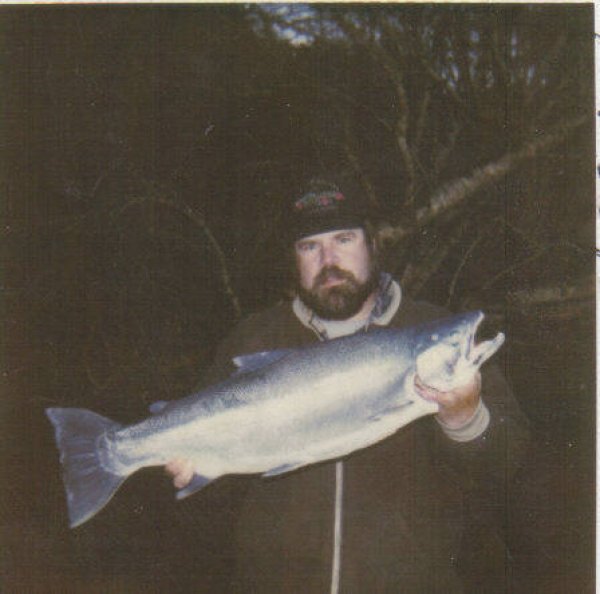 2883chetco_steelhead_darker_picture.jpg