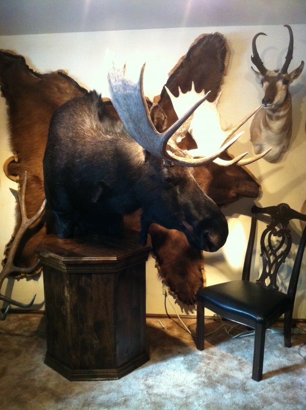 2999moose_mount_finished.jpg