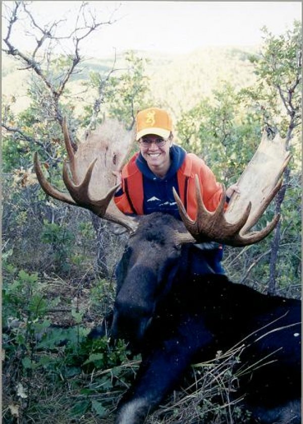 3026moose3.jpg