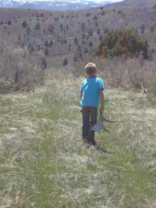 3043shed_hunting_2012_023_-_copy.jpg