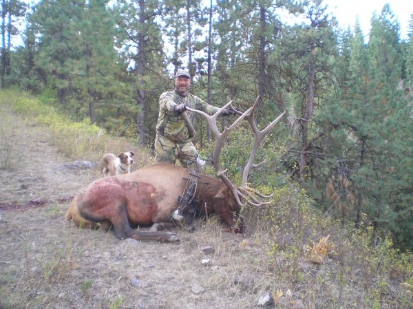 3181elk_089.jpg