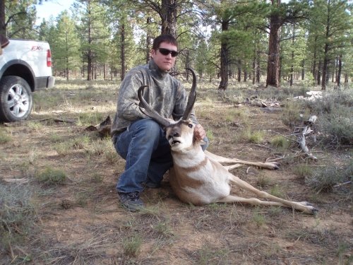 3197pronghorn.jpg