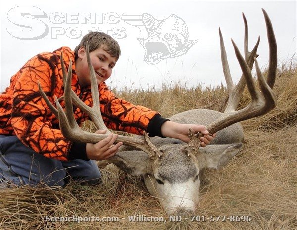 3416mt_muley.jpg