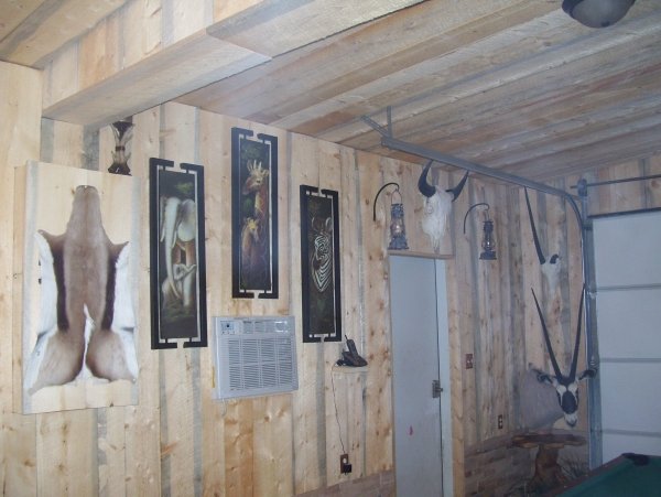 3642man_cave_4.jpg