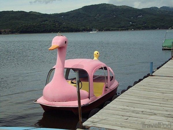 3658swan-paddle-boat-fujiyoshida.jpeg