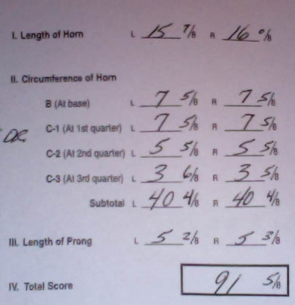 3669roy-sci-scoresheet.jpg