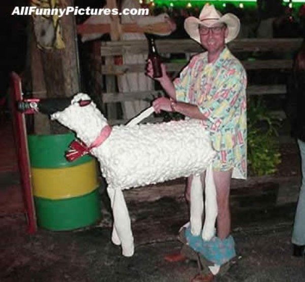 400565cf328b44131b69581a870bebbc2133_sheep-costume.jpg