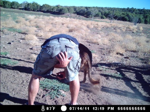 4031trail_cam_015.jpg