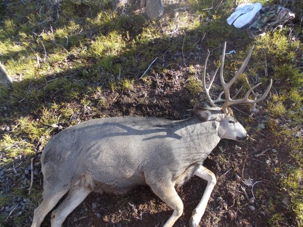 4049deer_elk_hunt_023.jpg