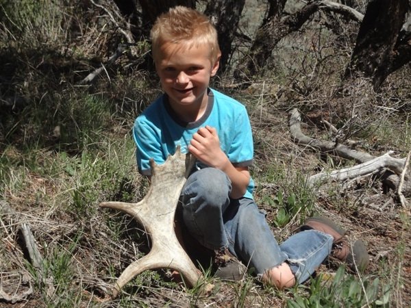 4097shed_hunting_2012_022_-_copy.jpg