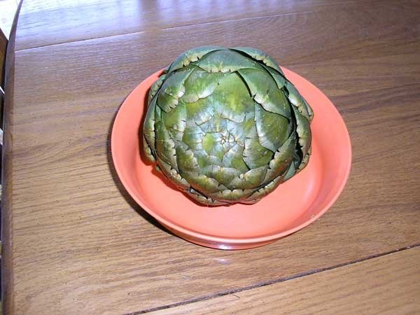 417140artichoke.jpg