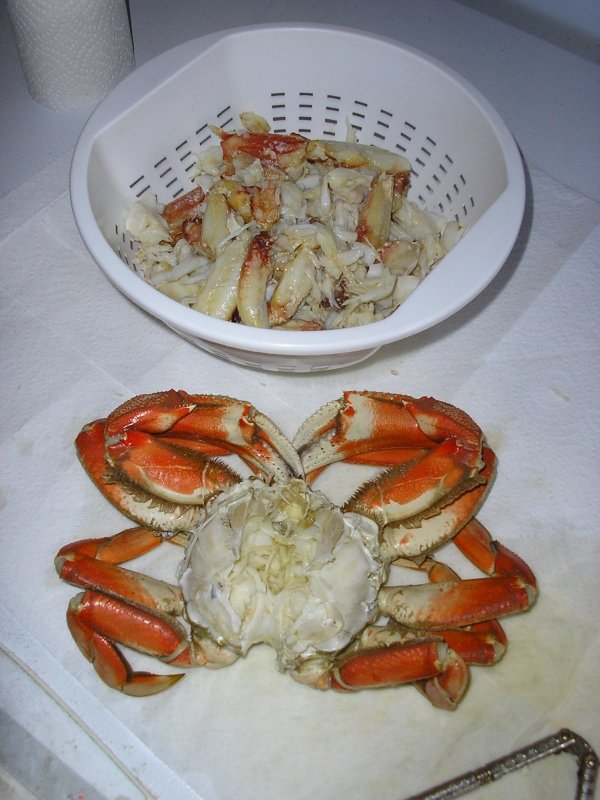 4287crabmeat2013_002.jpg