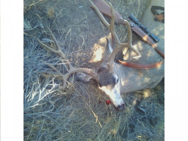 46472011_oregon_buck.jpg