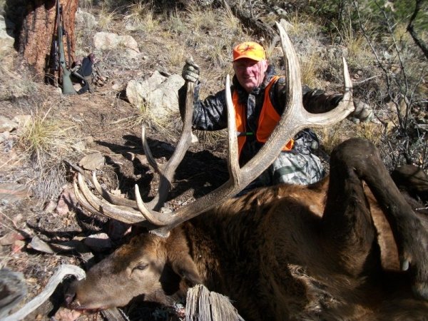 49272011_bull_elk_020.jpg