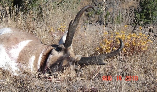 5016antelope_hunt_8-14-10_060.jpg