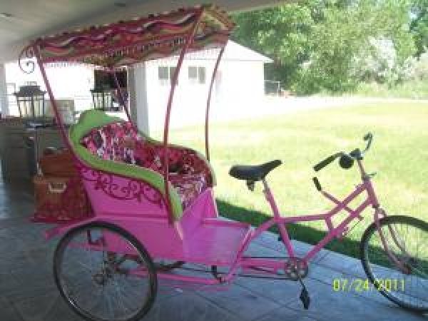 5163pink_rickshaw.jpg