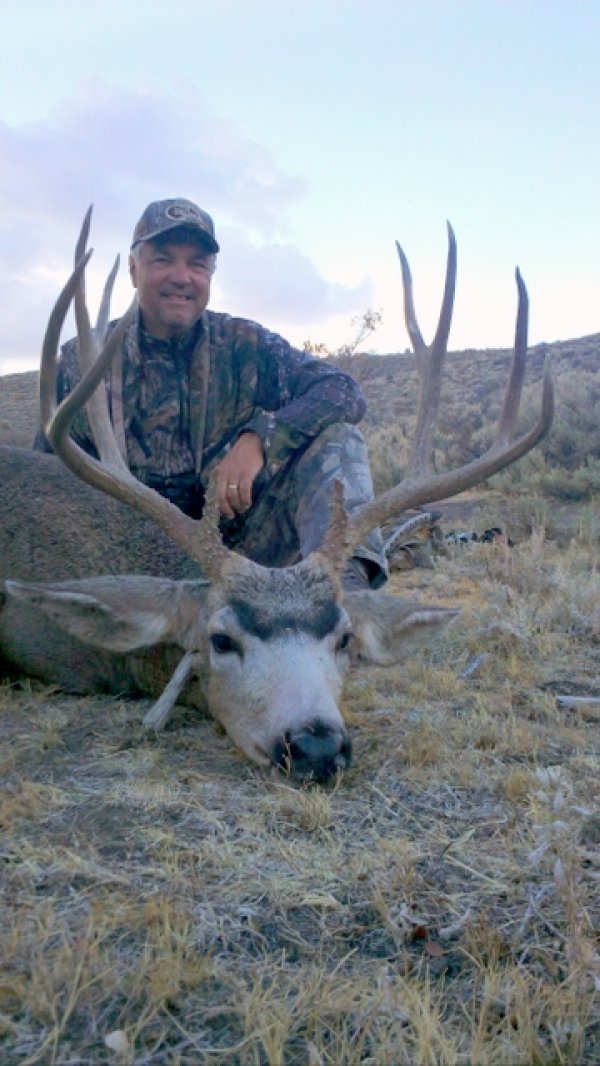 52732012_nevada_deer.jpg