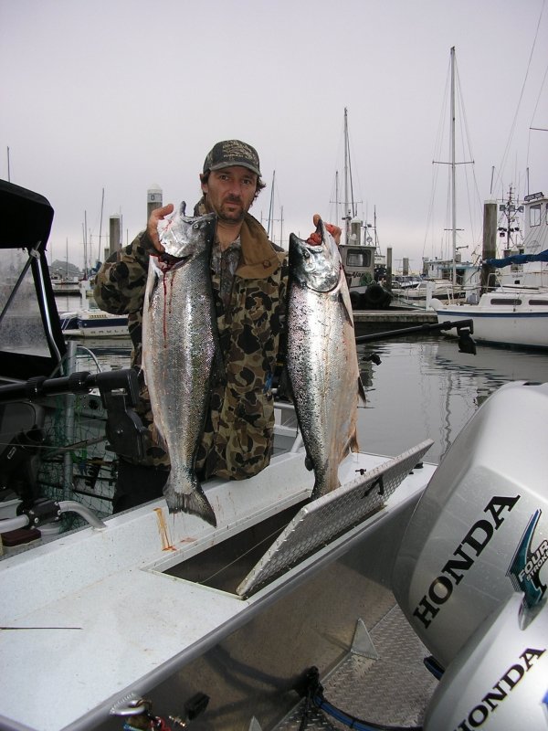 5334salmon862012_002.jpg