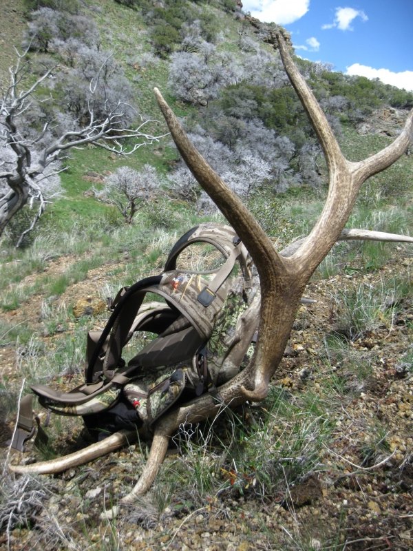 5607elk_shed_trip_2011_057.jpg