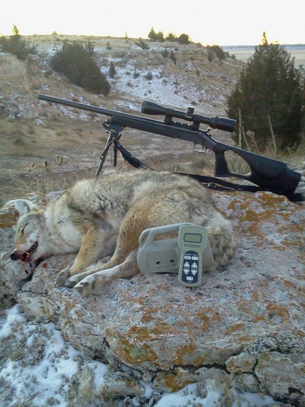 5611yote_1-9-14.jpg