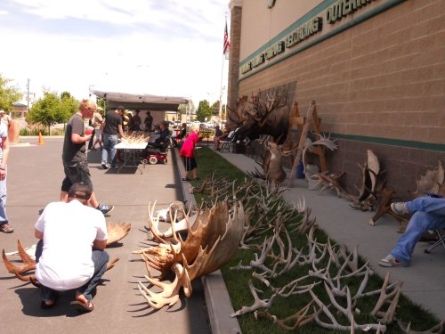 593antler_fest_2010_008.jpg