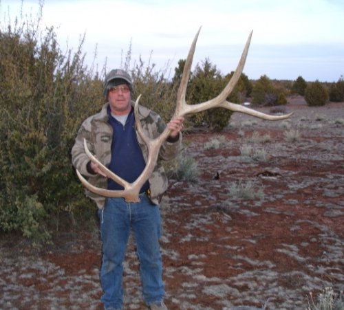 6108rs___2010_384_antler.jpg