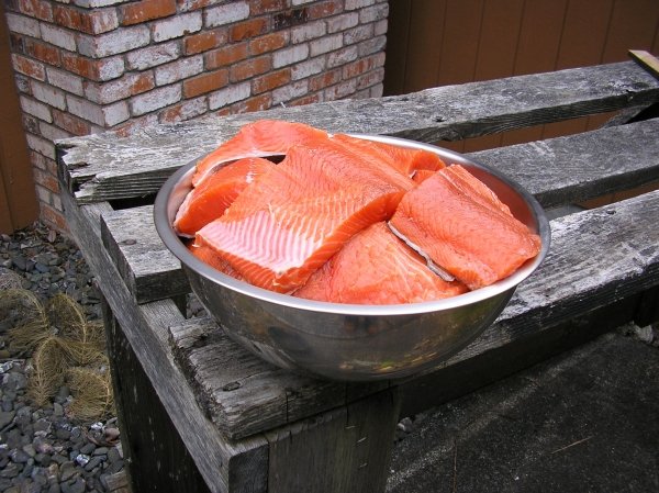 6214salmon862012_006.jpg