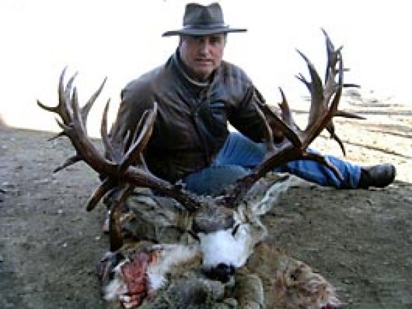 6269new-world-record-muledeer.jpg