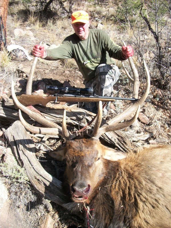 65102011_bull_elk_036.jpg