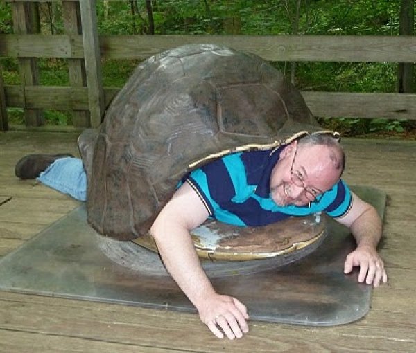 6524mike_the_turtle.jpg