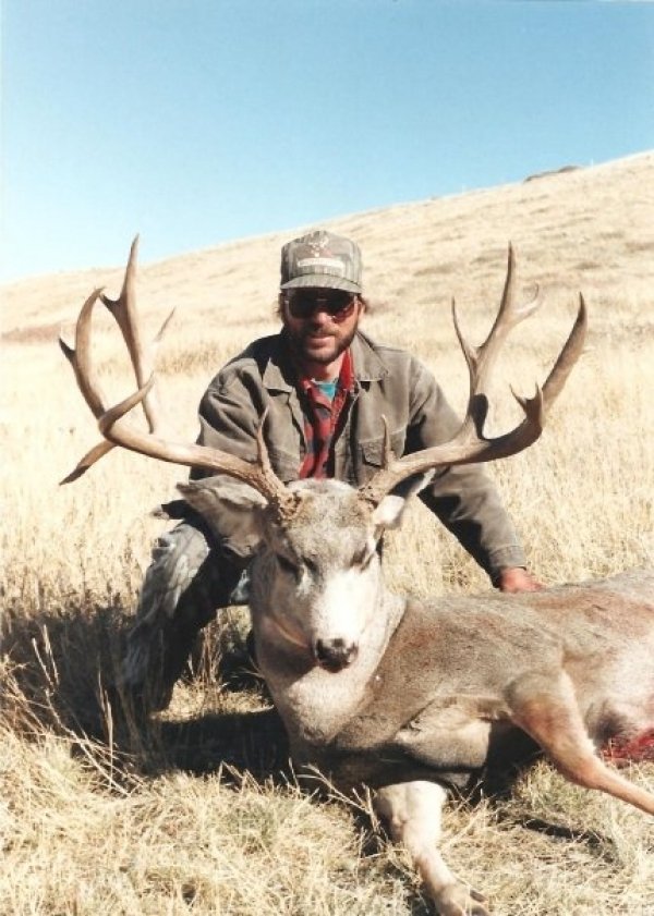 6850wyoming_buck.jpg