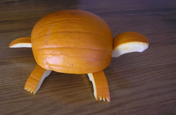 7418turtlepumpkin-003.jpg