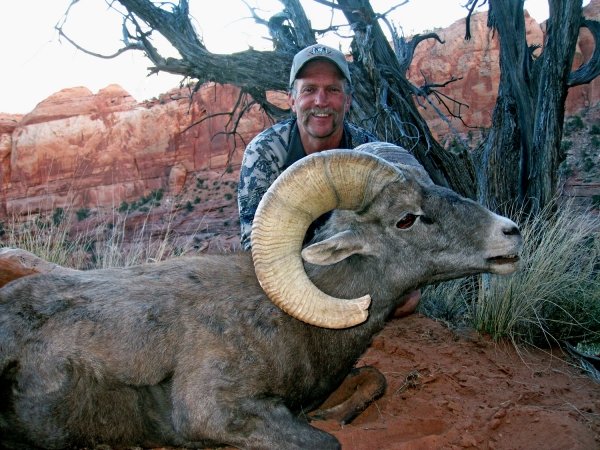 7646shanes_desert_ram2.jpg