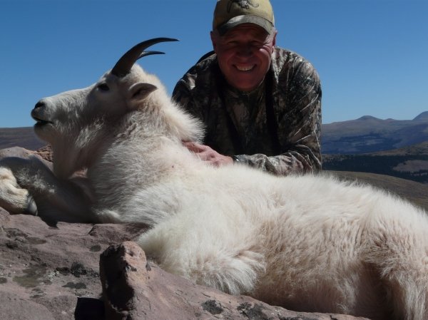 7709uintas_goat_012.jpg