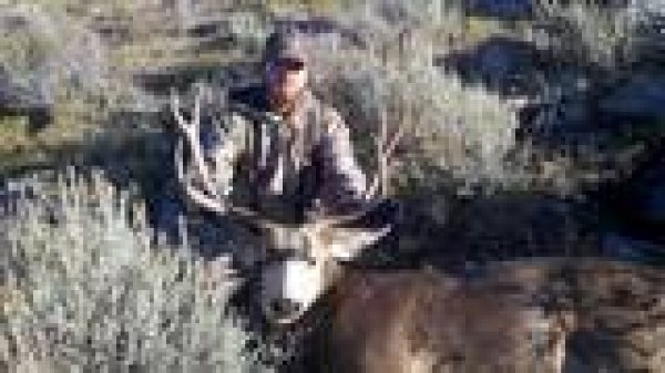 78232011_buck.jpg