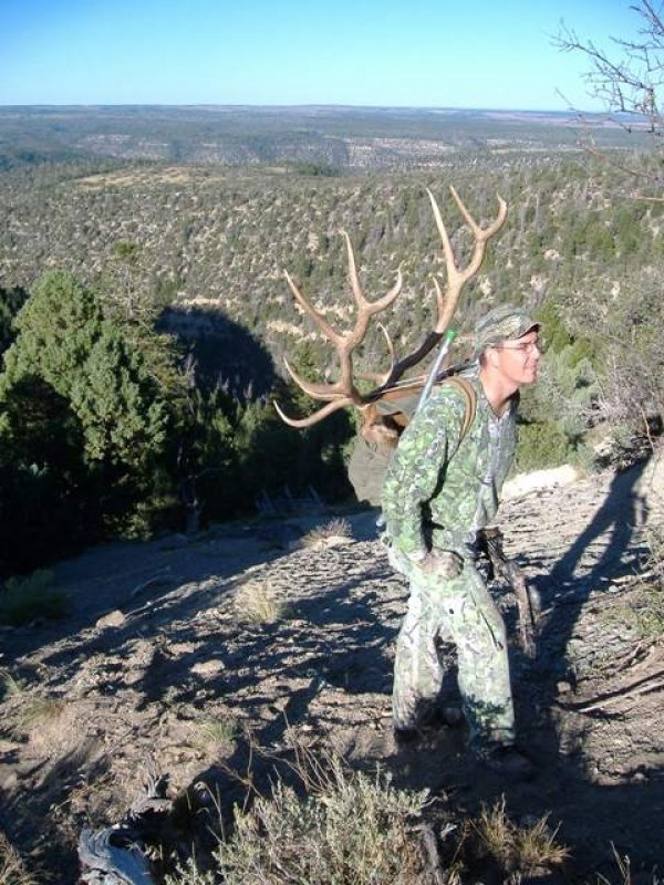 8020elk03.jpg