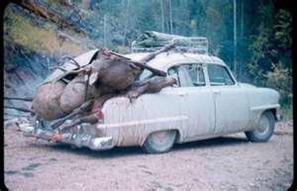 8147elkhunt.jpg