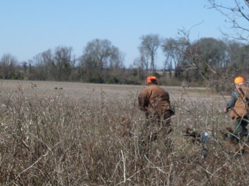 8218hog_hunting_10_206.jpg