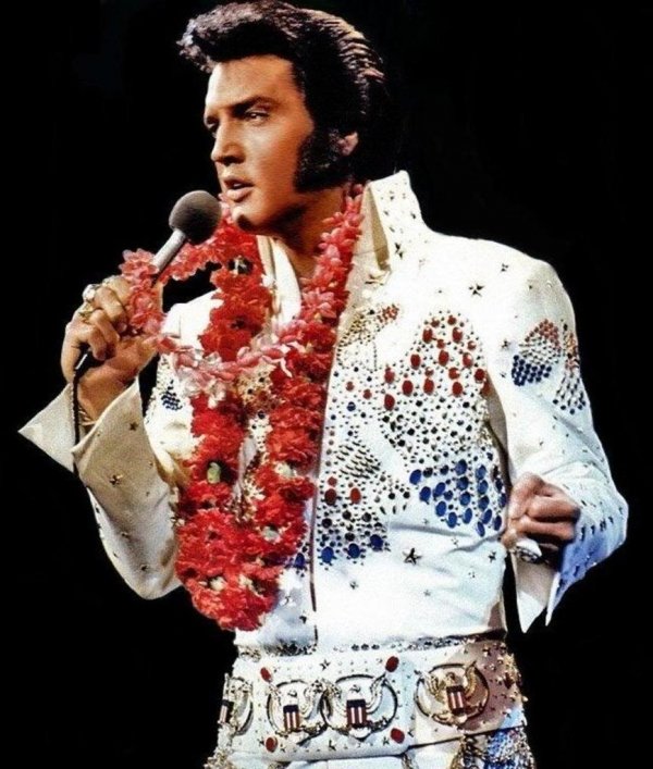 8393elvis_presley_12.jpg