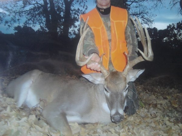 86872010_whitetail_1.jpg